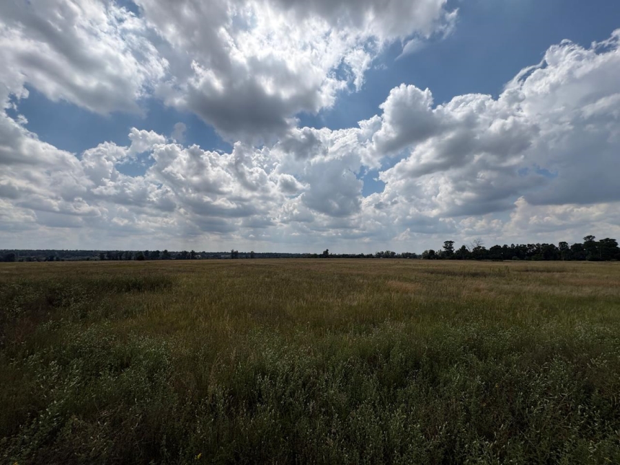 0 Bedroom Property for Sale in Vaalpark Free State